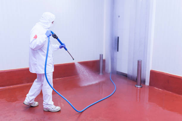 Professional Pressure Washing in Cloverdale, VA